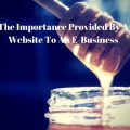 The Importance Provided By A Website To An E-Business
