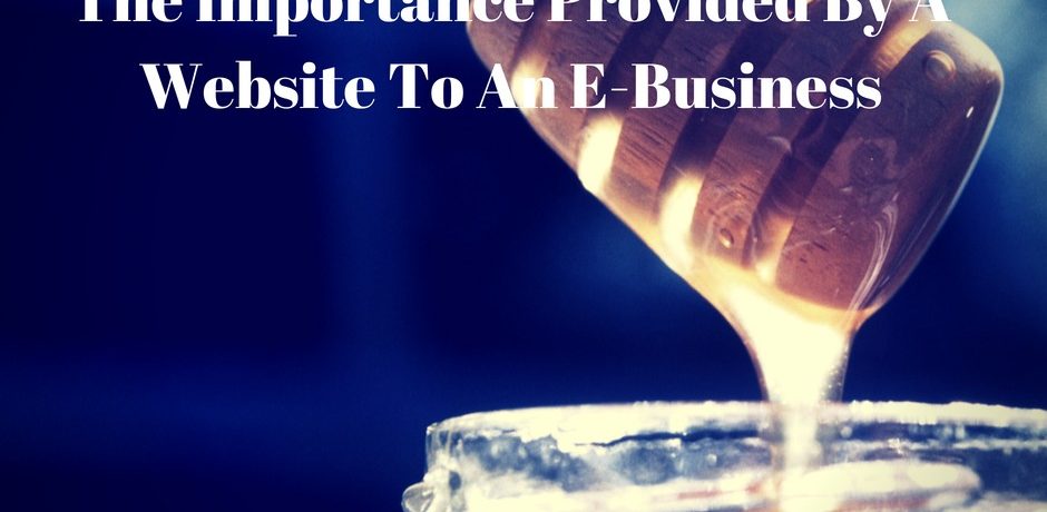 The Importance Provided By A Website To An E-Business