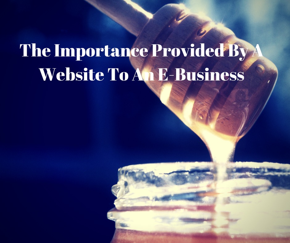 The Importance Provided By A Website To An E-Business